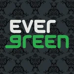 Evergreen